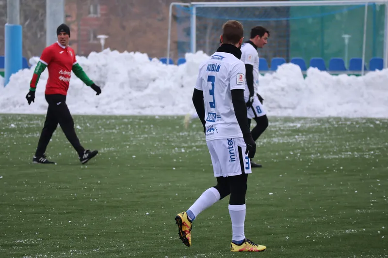 Stomil - Jaguar sparing (30)