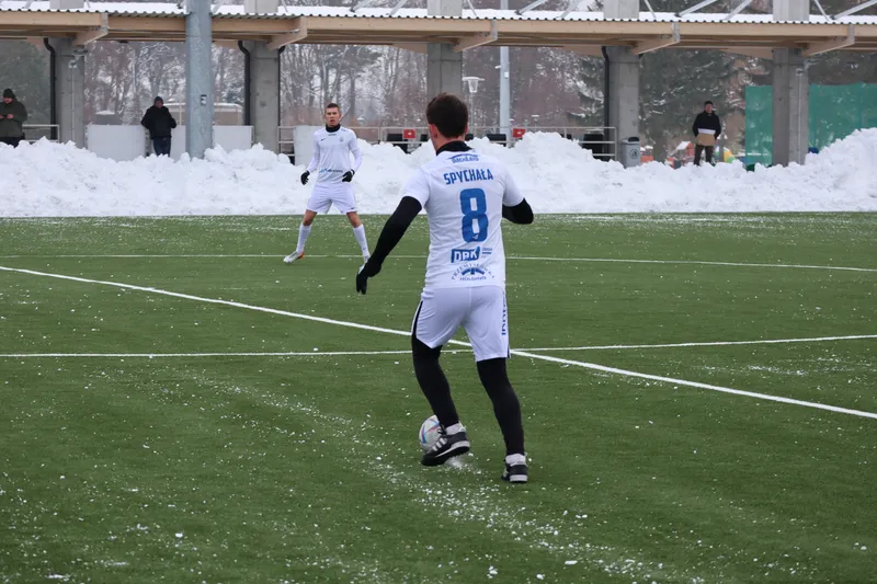 Stomil - Jaguar sparing (98)