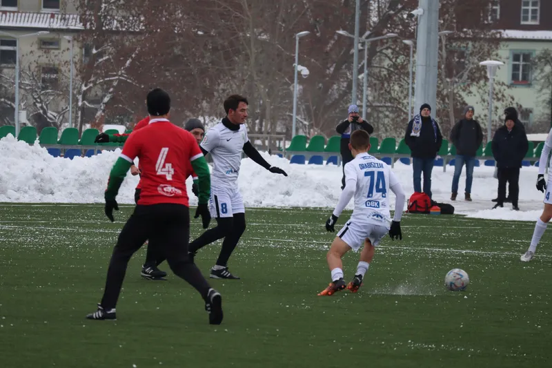 Stomil - Jaguar sparing (122)